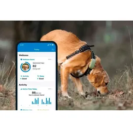 tractive GPS Tracker Hund XL wasserdicht grün
