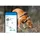 tractive GPS Tracker Hund XL wasserdicht grün
