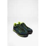 Lowa Delago GTX LO Herren
