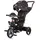 Chipolino Tricycle Dreirad Be Active 2in1