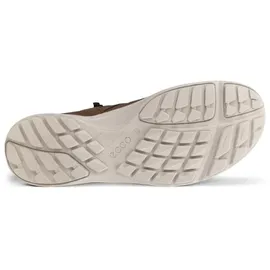 ECCO Terracruise LT Herren Braun 45