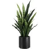 Künstlicher Bogenhanf - Nero | 90 cm