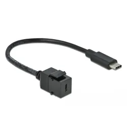 Delock Keystone module - Modulare Eingabe - USB Typ C