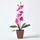 Homescapes KUNSTBLUME Orchidee rosa im Deko-Topf, 48 cm