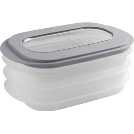 sunware perfectly organised Aufbewahrungskiste E-Claire 18 x 10 cm 1-tlg. grau/transparent