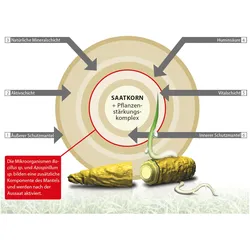 Greenfield Vertikutier-Mix 2,5 kg - Regeneration nach dem Vertikutieren