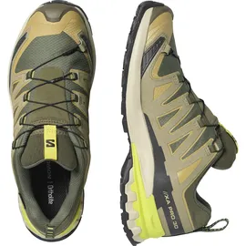 Salomon XA Pro 3D V9 GTX Herren Grape Leaf/Aloe/Acid Lime 47