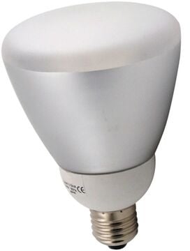 Helios Reflektor Tageslichtlampe 20W 230V E27