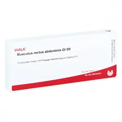Musculus Rect.abdominis Gl D5 Ampullen