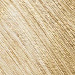 Goldwell Topchic Depot hellerblond-natur 11 N 250 ml