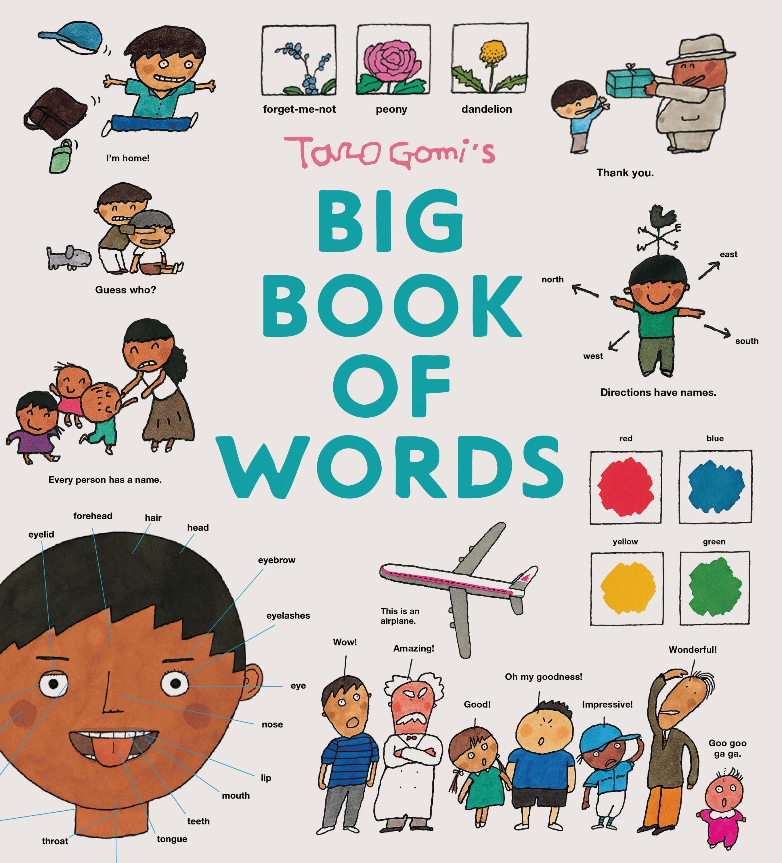 Taro Gomi's Big Book Of Words - Taro Gomi  Gebunden