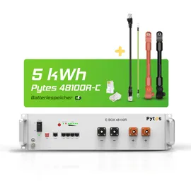 pytes Spezial-Akku LiFePO 4 48 V/DC 100 mAh 1 St.