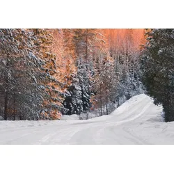 Fototapete PAPERMOON "Schneelandschaft", bunt, B:4,00m L:2,60m, Vlies, Tapeten