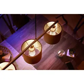 Philips LED-Lampe E14 470 lm 5,7 W warmweiß 1 St.