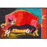 Salonloewe Efia Rosina Wachtmeister Fußmatte Resting Place 50x75 cm Katzen bunt Eingangs-Matte waschbar