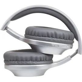 Panasonic RB-HX220BDES Silver