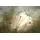 Queence Wandsticker QUEENCE "Sunny", grau, B:90cm H:60cm T:0,1cm, Folie, Wandtattoos, Selbstklebend, kinderleichte Anbringung