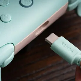 8bitdo Ultimate 2C Controller Mint/Orange für PC