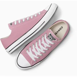 Converse Chuck Taylor All Star Low Damen Cliffside Rose 37