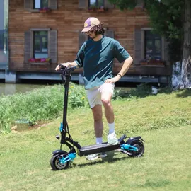 miniwalker Tiger 9 Pro schwarz