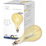 tint white LED-Lampe E27 4,9 W gold