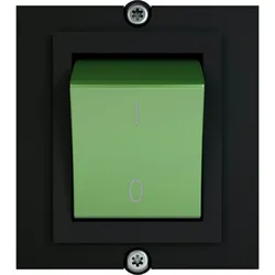 BACHMANN Rahmen 1x Schalter 2-polig grün, Strom 1,0m AEH