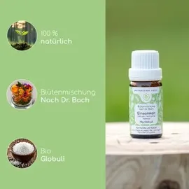 Wolfsbacher Natur Bachblüten Einsamkeit 10 g