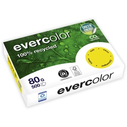 Clairefontaine Recyclingpapier DIN A4 80 g/m2