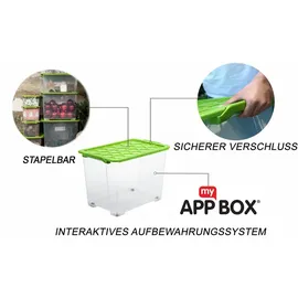 Rotho Aufbewahrungsbox Evo Safe Keeping 59,0 x 39,5 x 41,2 cm 1-tlg. grau