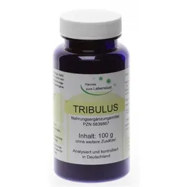 G & M Naturwaren Import GmbH & Co. KG Tribulus Terrestris Pulver 100 g
