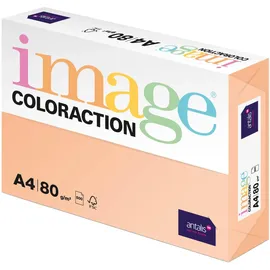 IMAGE Kopierpapier Image Coloraction Savana 80g/qm A4, VE=500 Blatt