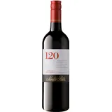 Santa Rita Cabernet Sauvignon 2023 0,75 l