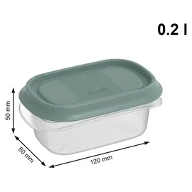 Rotho Frischhaltedose grün 6-teiliges Set