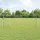vidaXL Weidezaun 50 x 0,8 m Silber/Stahl