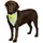 Trixie Safer Life Halstuch L-XL 43-60 cm Gelb