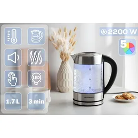 Berdsen 1,7 l Silber-Schwarz