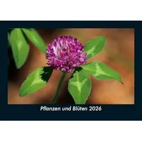 Vero Kalender Pflanzen und Blüten 2026 Fotokalender DIN A5