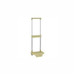 safta Rucksack Rucksack-Trolley Safta Golden Backpack goldfarben