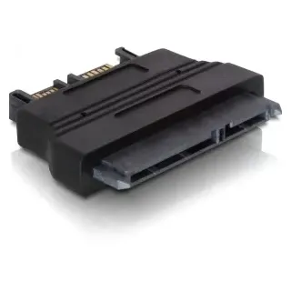 DeLock Adapter