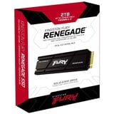 Kingston FURY Renegade PCIe 4.0 NVMe M.2 SSD mit Heatsink 500 GB 1TB 2TB 4TB