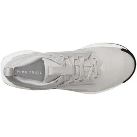 Nike Pegasus Trail 5 Gore-Tex Damen, Laufschuhe Damen - Gris/argent - 41