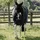Kentucky Horsewear Wasserdichte Combo Classic Navy 145