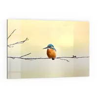 Deqori Küchenrückwand Glas | Motiv Königsfischer auf Zweig |