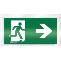 ESYLUX Piktogrammscheibe 1-seitig EN10079054