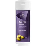 BIOTURM Fettiges Haar Nr. 101 200 ml