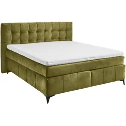 ED LIFESTYLE Boxspringbett OREGON