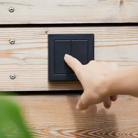 Senic Friends of Hue Outdoor Switch