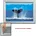 Showdown Displays silber 24 1 x 32 8 cm