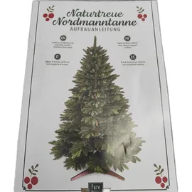 PURE LIVING INTERIOR DESIGN Künstlicher Weihnachtsbaum Grün 220 cm