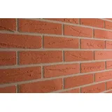 Elabrick Sahara Wandverkleidung 50 x 21 cm 1 m2 Rot 35001000